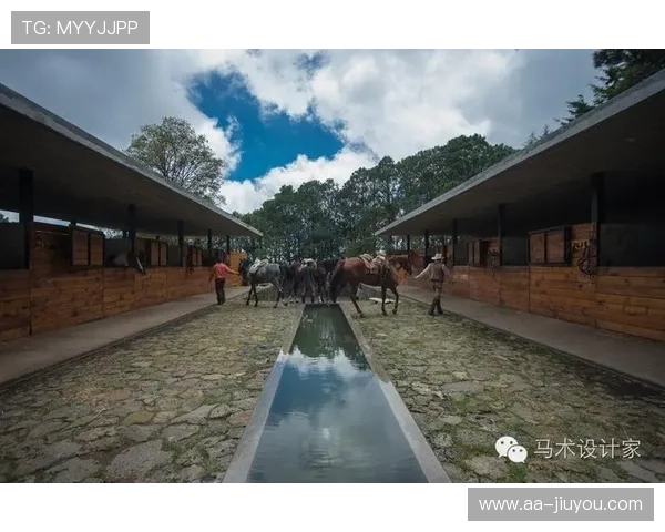 世界马术赛事马厩标准化管理指南发布，马术赛事的场地标准